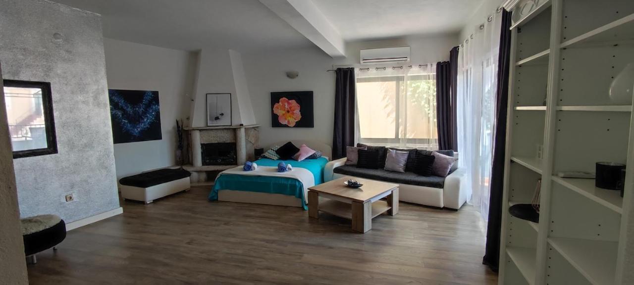 Apartmani Niko ドラスニセ エクステリア 写真